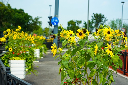 3年豐(feng)公園.jpg